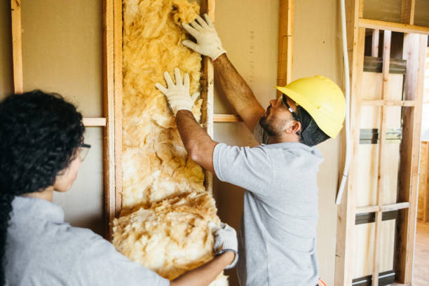 Best Local Insulation Services  in Valle Vista, AZ